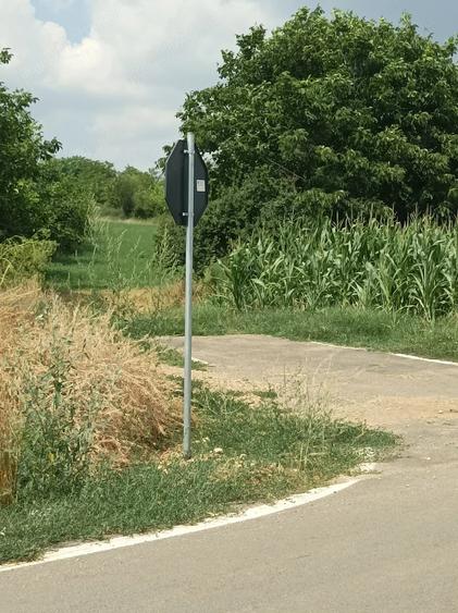 Teren de 3400 mp, în Daia