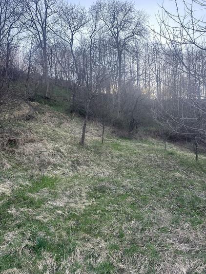 Teren de 2800 mp, în Văleni-Dâmbovița