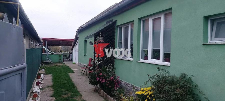 Casa Peciu Nou de vanzare