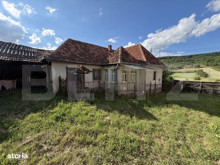 Casă cu 3 camere cu Teren 4100 Mp în Horoatu Crasnei