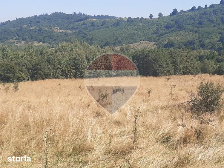 Teren extravilan-pasune, 6,300mp Rasnov / Soseaua Risnov-Paraul Rece - 1