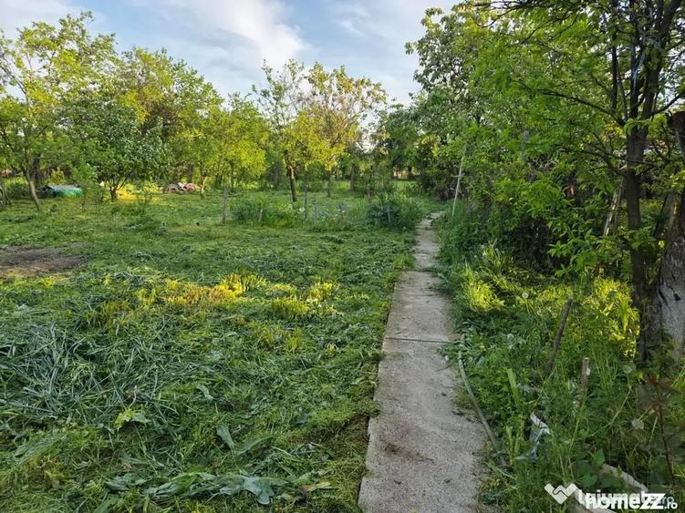 Garsonieră în Moșteni