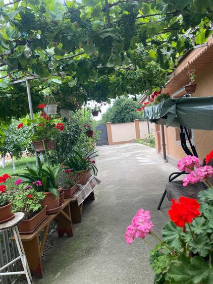 Casă cu 4 camere în Topliceni