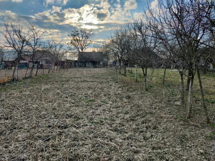 Casă cu 3 camere cu Teren 1500 Mp în Macedonia