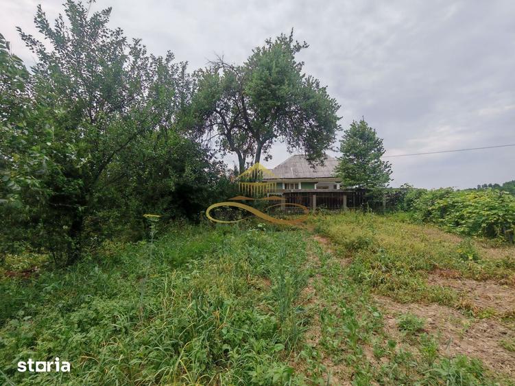 Casă cu 4 camere cu Teren 3300 Mp în Blăgești