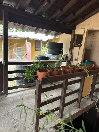 Casă cu 3 camere cu Teren 1000 Mp în Central