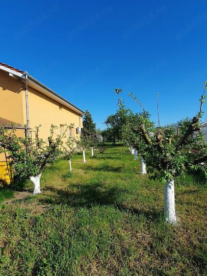 Casă cu Teren 1800 Mp în Santăul Mare