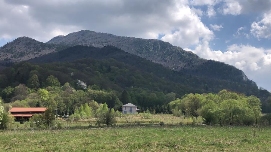 Casă individuală cu 4 camere cu Teren 4150 Mp în Cheile Râșnoavei