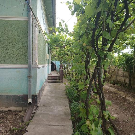Casă cu 3 camere în Unirea