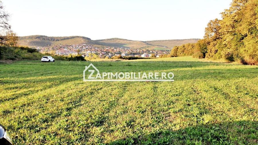 Teren Construcții extravilan de 29759 mp, în Livezeni