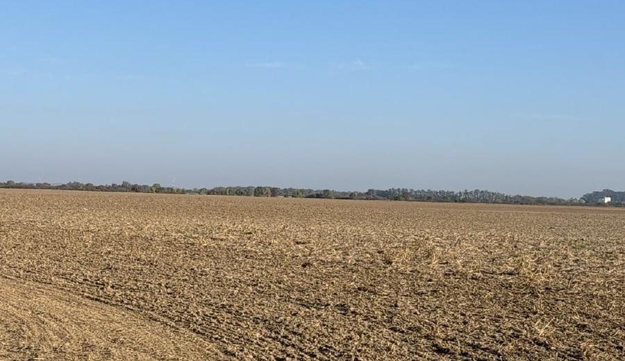Teren agricol extravilan de 2500 mp, în Ciolpani