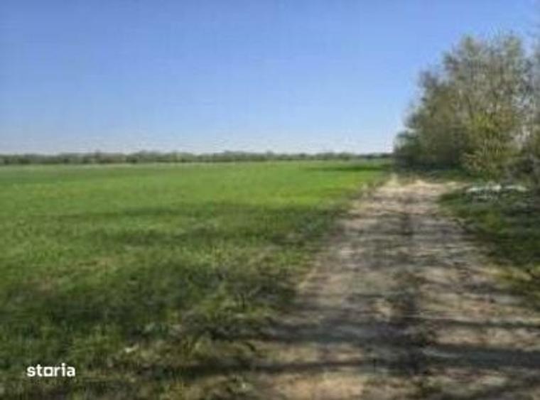 Casa si teren Darasti, ID: R3313254 - 1