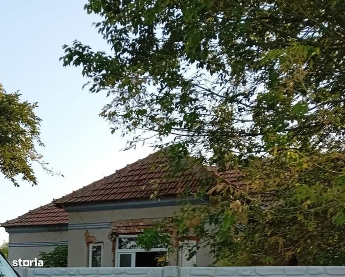 Casa P, 96 mp, teren 1948, Silistea Crucii - 1
