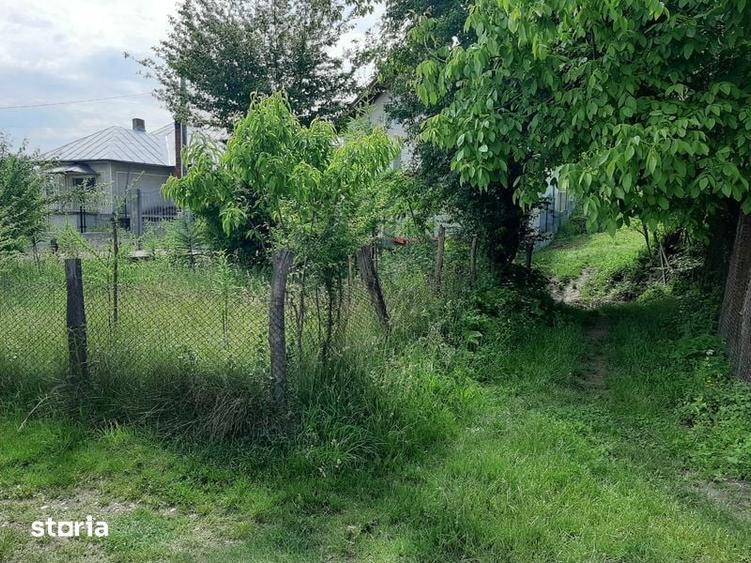 Teren de 2636 mp, în Vâlcea