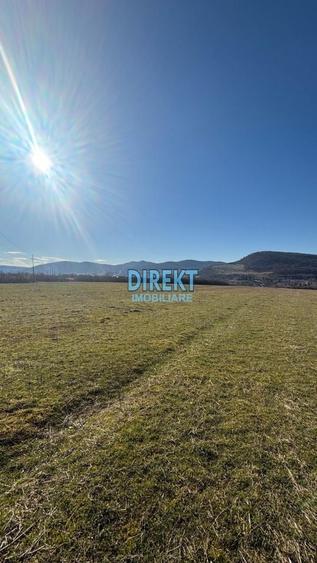 Teren agricol extravilan de 13300 mp, în Independenței