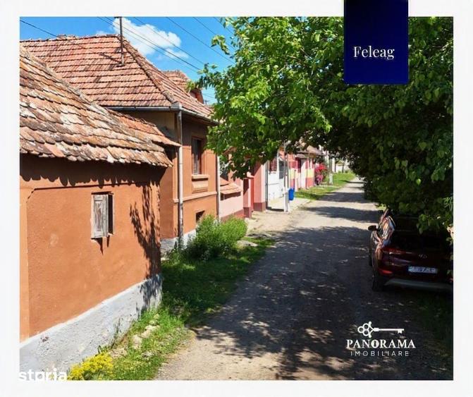 Casă cu 3 camere cu Teren 1590 Mp în Vânători