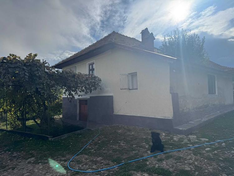 Casă cu 4 camere cu Teren 11000 Mp în Alimpești