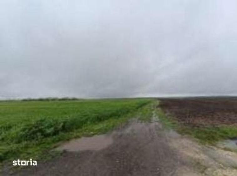 Teren de 32600 mp, în Deleni