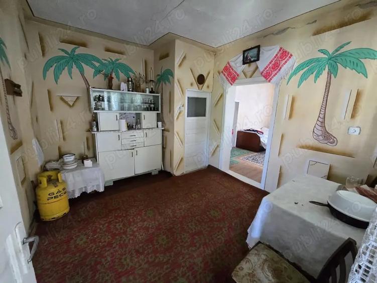 Casă cu 3 camere în Peceiu