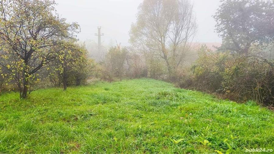 Teren de 1349 mp, în Podgoria