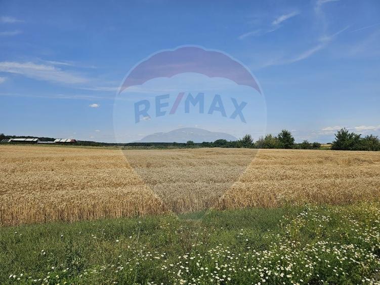 Teren Construcții intravilan de 750 mp, în Periferie