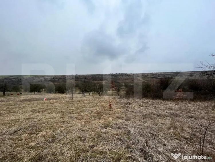 REDUCERE!!! Teren extravilan 5.613 mp, livada, zona Prede? - 5