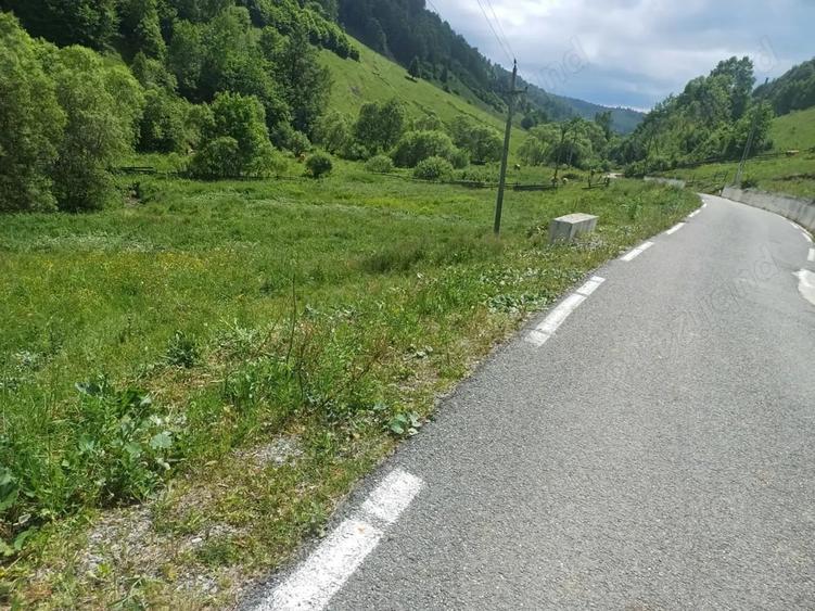 Teren de 3500 mp, în Central