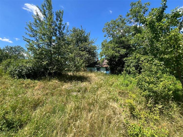 Teren Construcții intravilan de 17475 mp, în Tomești