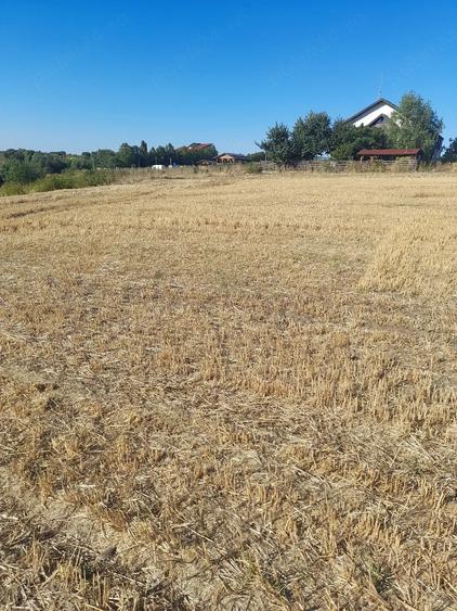 Teren de 1250 mp, în Cândeasca