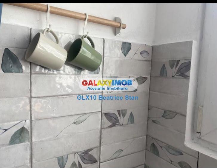 Inchiriere apartament 2 camere decomandat DRUMUL TABEREI   FAVORIT - 9