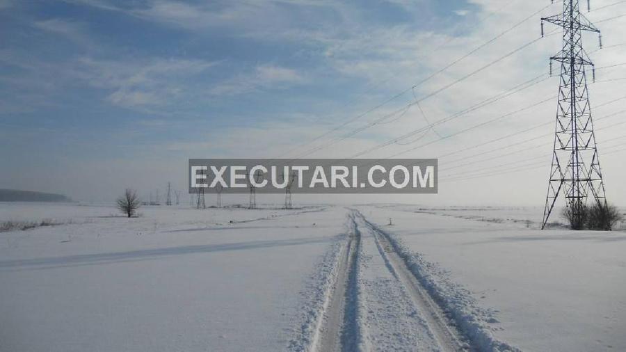 DASCALU VARASTI ILFOV Teren extravilan,arabil - 12,500 m² - 1