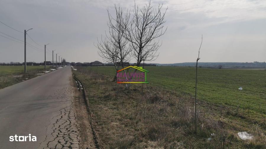 Teren de 7240 mp, în Cernica