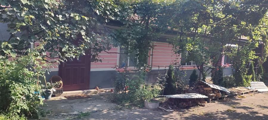 Casă cu 4 camere în Central