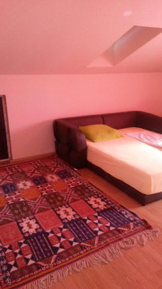 Casa Frumusani 5 camere teren 700mp - 10