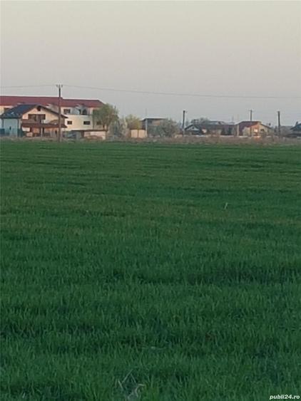 vand teren Bragadiru - 7