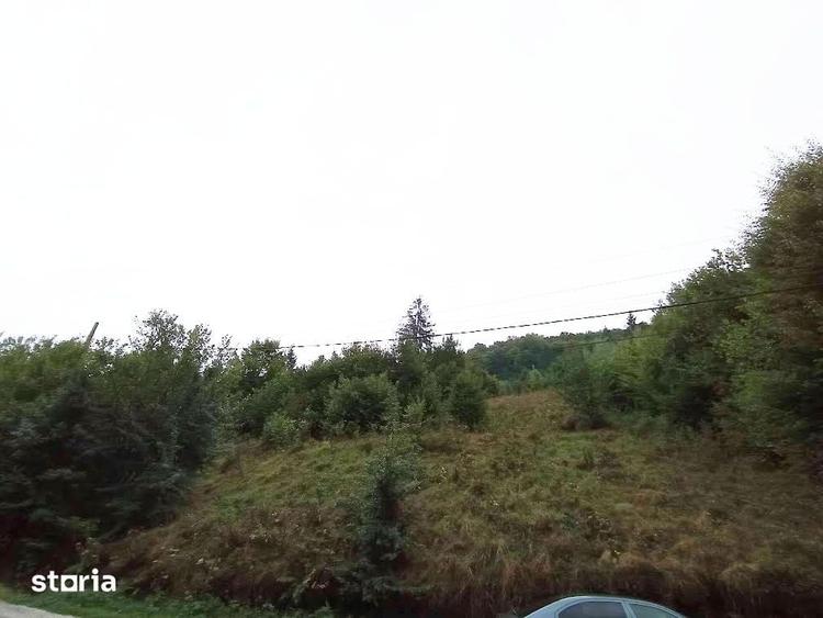 Teren de 32000 mp, în Rusca