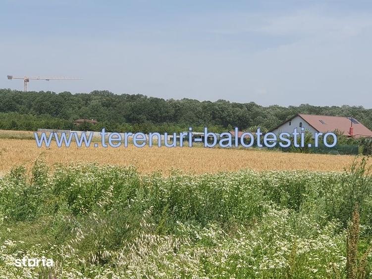Teren Balotesti, vecinatate padure Sri,19500 euro - 7