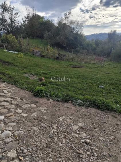 Teren intravilan 1.560 mp + casa 70 mp | Provita de Jos, jud. Prahova | Iesire la strada asfaltata | Priveliste frumoasa
