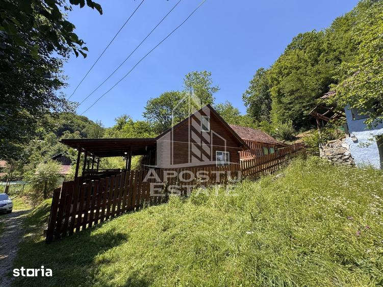 Casă cu 5 camere cu Teren 771 Mp în Ribița