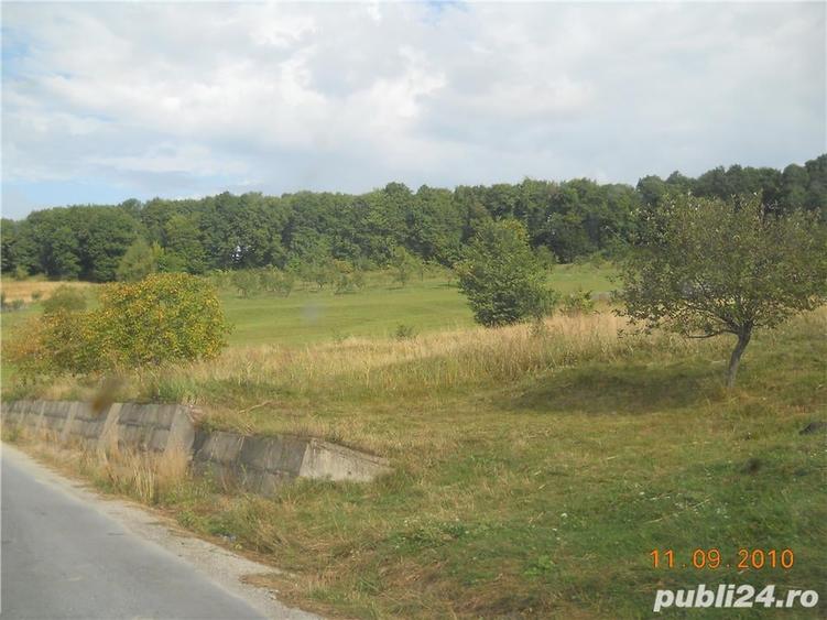 Teren de 55000 mp, în Slănic