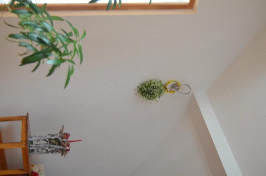 Casă cu 1 camere cu Teren 1627 Mp în Poiana