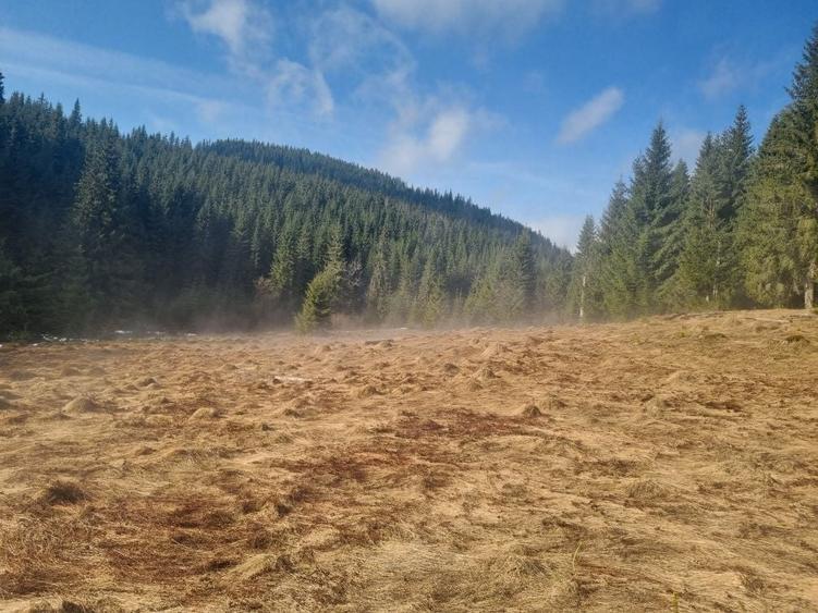 Teren de 43000 mp, în Fildu de Mijloc