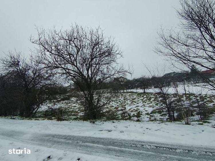 Teren de 640 mp, în Mischii