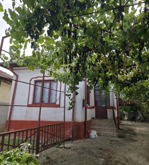 Casă cu 3 camere în Popoveni
