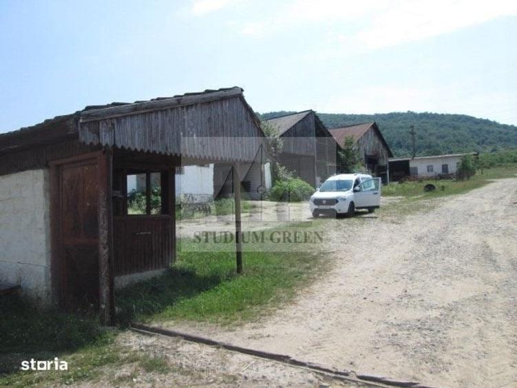 Spațiu comercial, în Șopotu Vechi