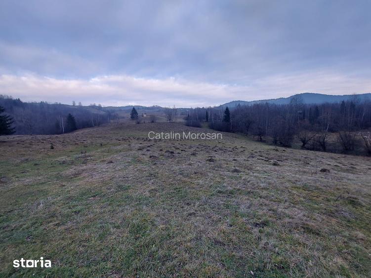 Vindem 53360 mp Bucovina - Vama