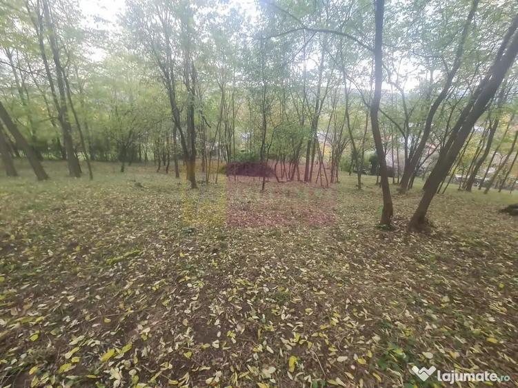 Casă cu 3 camere cu Teren 3410 Mp în Aluniș