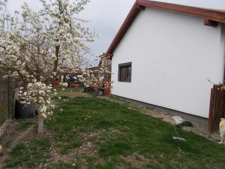 Casă cu 3 camere cu Teren 316 Mp în Dumbrăvița