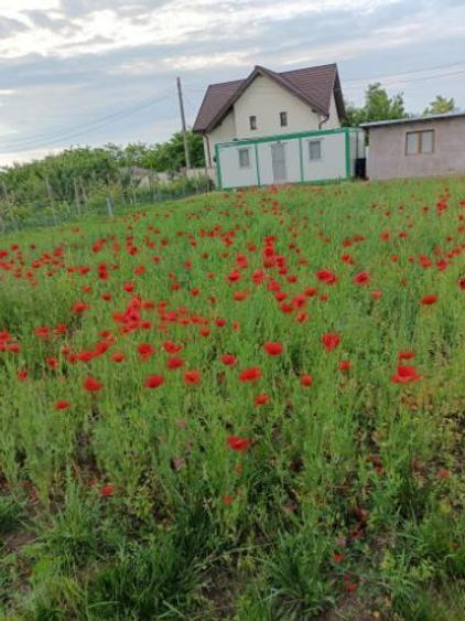 Casă cu 2 camere cu Teren 2000 Mp în Lilieci