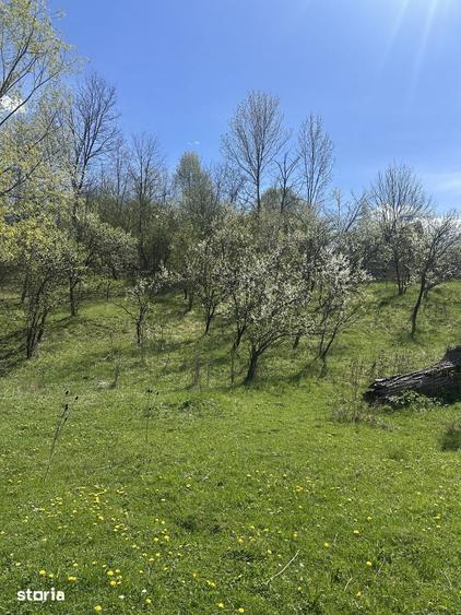 Spațiu comercial, de 2,035 mp, în Provița de Jos